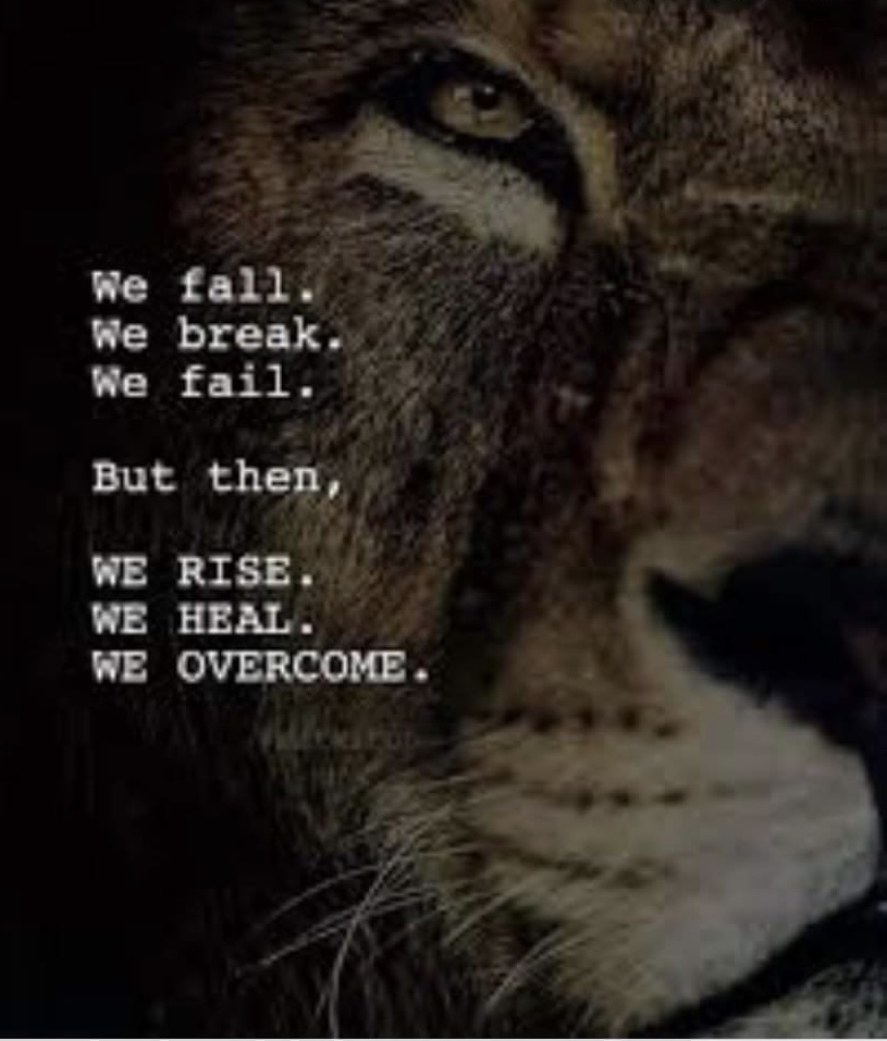 What If We Weren’t Afraid to Fail? (Being Honest About Our Struggle)