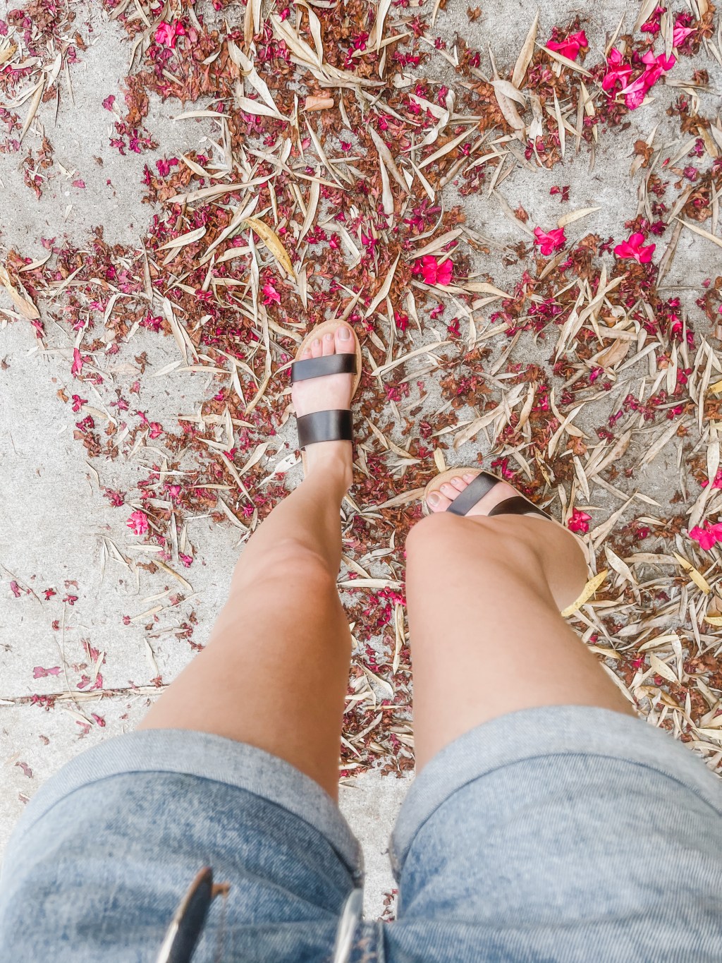 Keep the Vision&nbsp;Alive