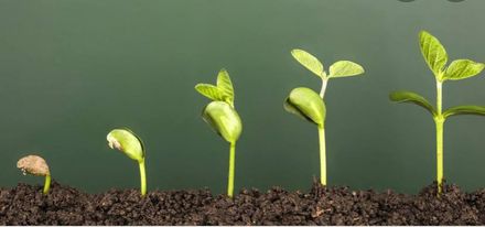 I’m Done With You, Satan!