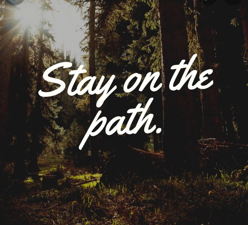 Stay the Course, Do Not Jump&nbsp;Ship