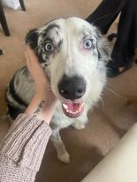 How To Maximize Your&nbsp;Life